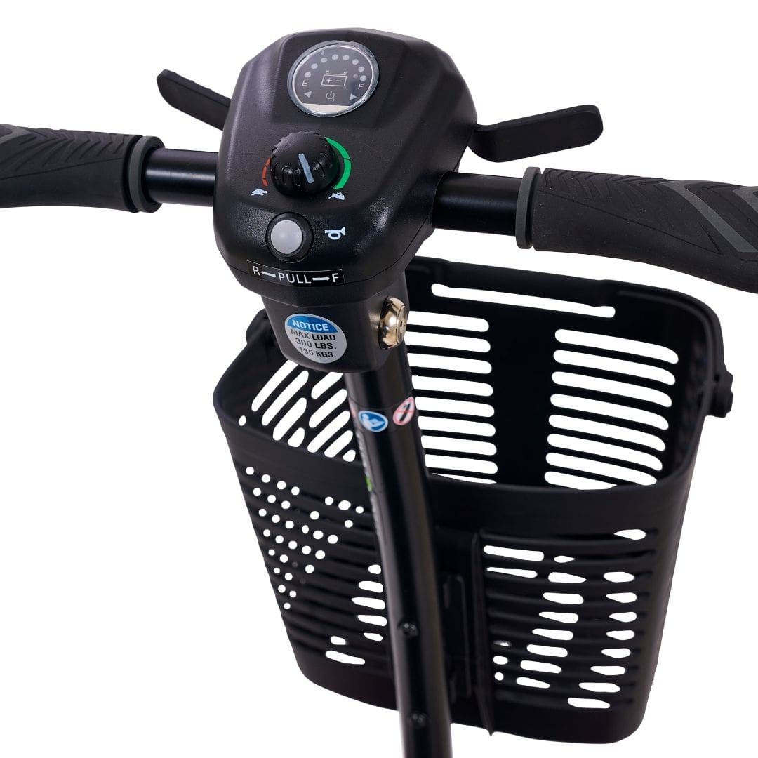 GOLDEN BUZZAROUND LT 4 WHEEL - Image 10